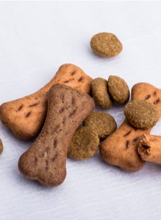 biscoito veterinario