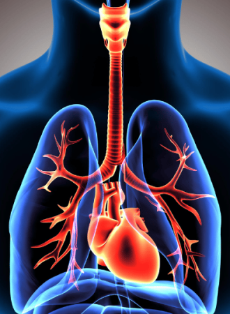 Proteção e Cuidado do Sistema Respiratório 2