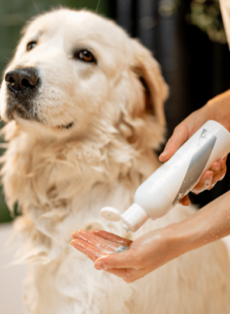 Shampoo Hidratante Anti-Seborreia PET